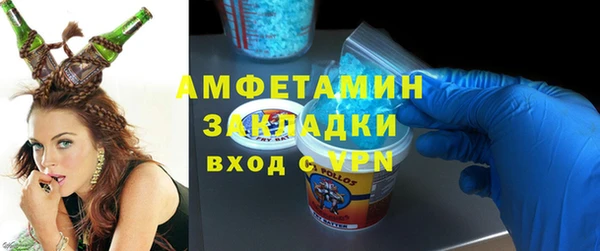 твердый Инта