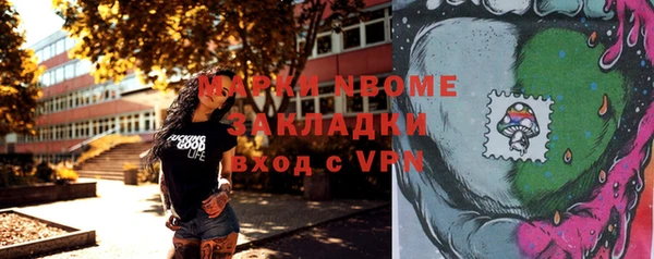 твердый Инта