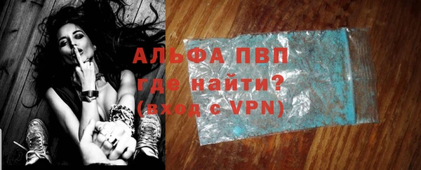 твердый Инта