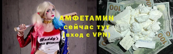 твердый Инта
