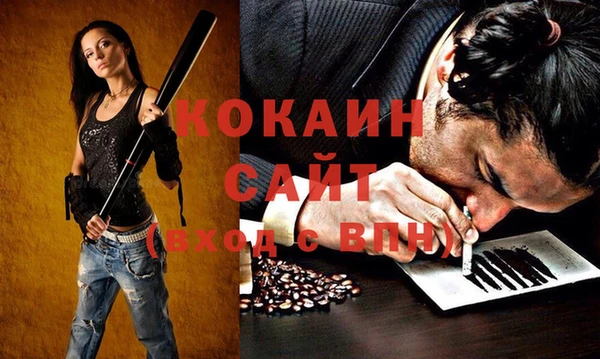 твердый Инта